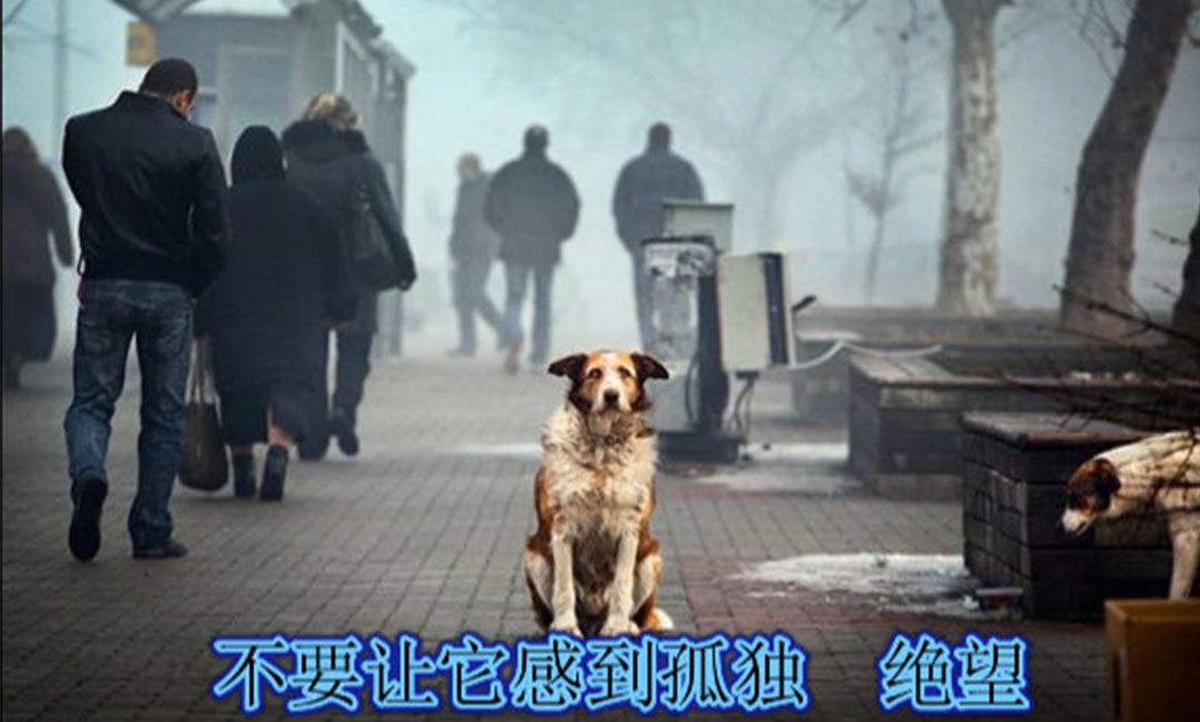太原太原爱影圈微博微信转发案例